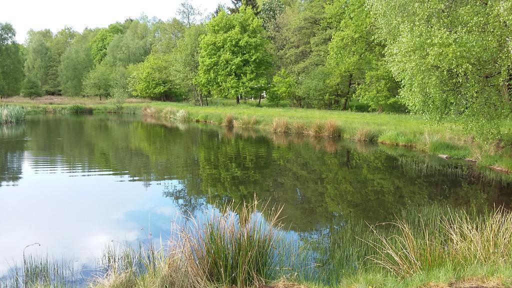 Gastezimmer - Campingplatz Am Muhlenbach Soltau Eksteriør bilde